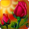 Icona del programma: Rose Wallpaper